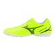 P1GD262545